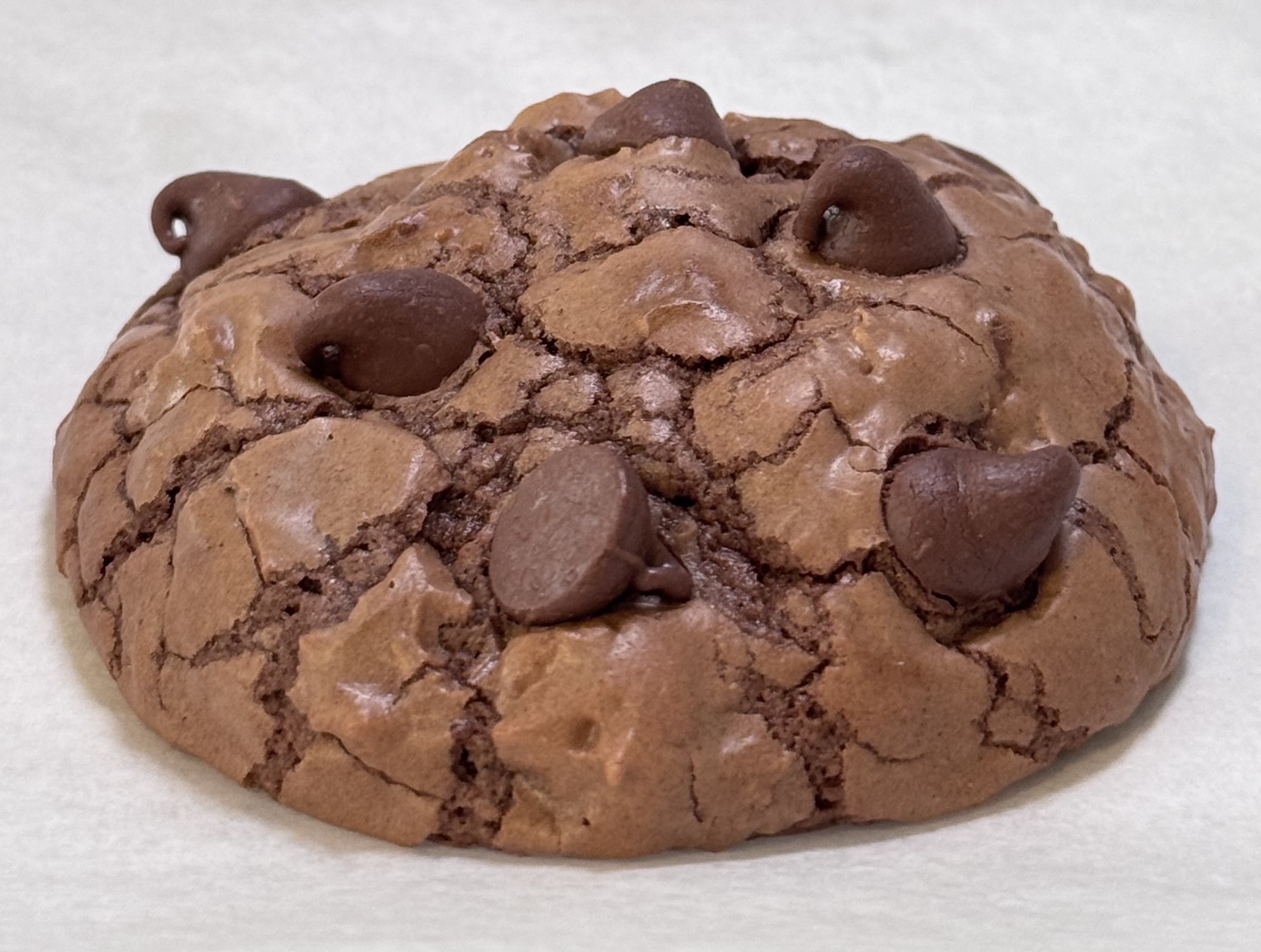 Double Chocolate Cookie